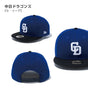 プロ野球 ニューエラ キャップ 帽子 日本野球機構 野球 日本リーグ セリーグ パリーグ 野球帽 NewEra 9Fifty NPB 950 メンズ  レディース チームキャップ フリーサイズ 大きいサイズ 公式 オフィシャル 応援 プロ野球団